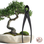 Picture of Hasami Bonsai Branch Cutters