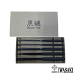 Iwasaki Limited Edition Black File 5pc Precision Hand File Set